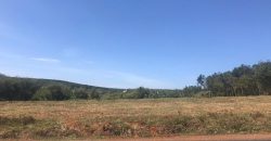 Bán đất Bình Phước, Mặt tiền đường Quy hoạch 32m, 250m2 giá chỉ 1,2tỷ